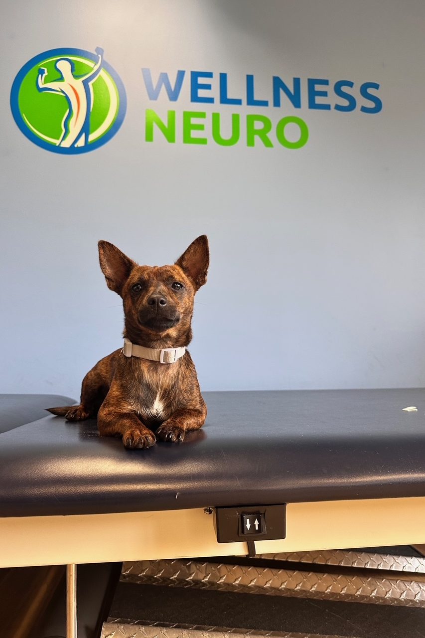 Wellness Neuro and SCI public photo